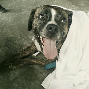 Meet your Posher, Destiny